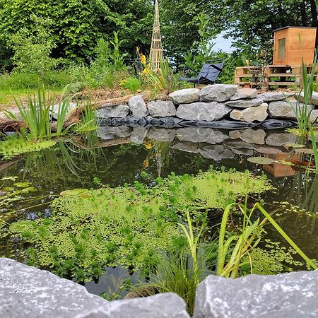Bed and Breakfast Aubepine Sains-du-Nord Экстерьер фото