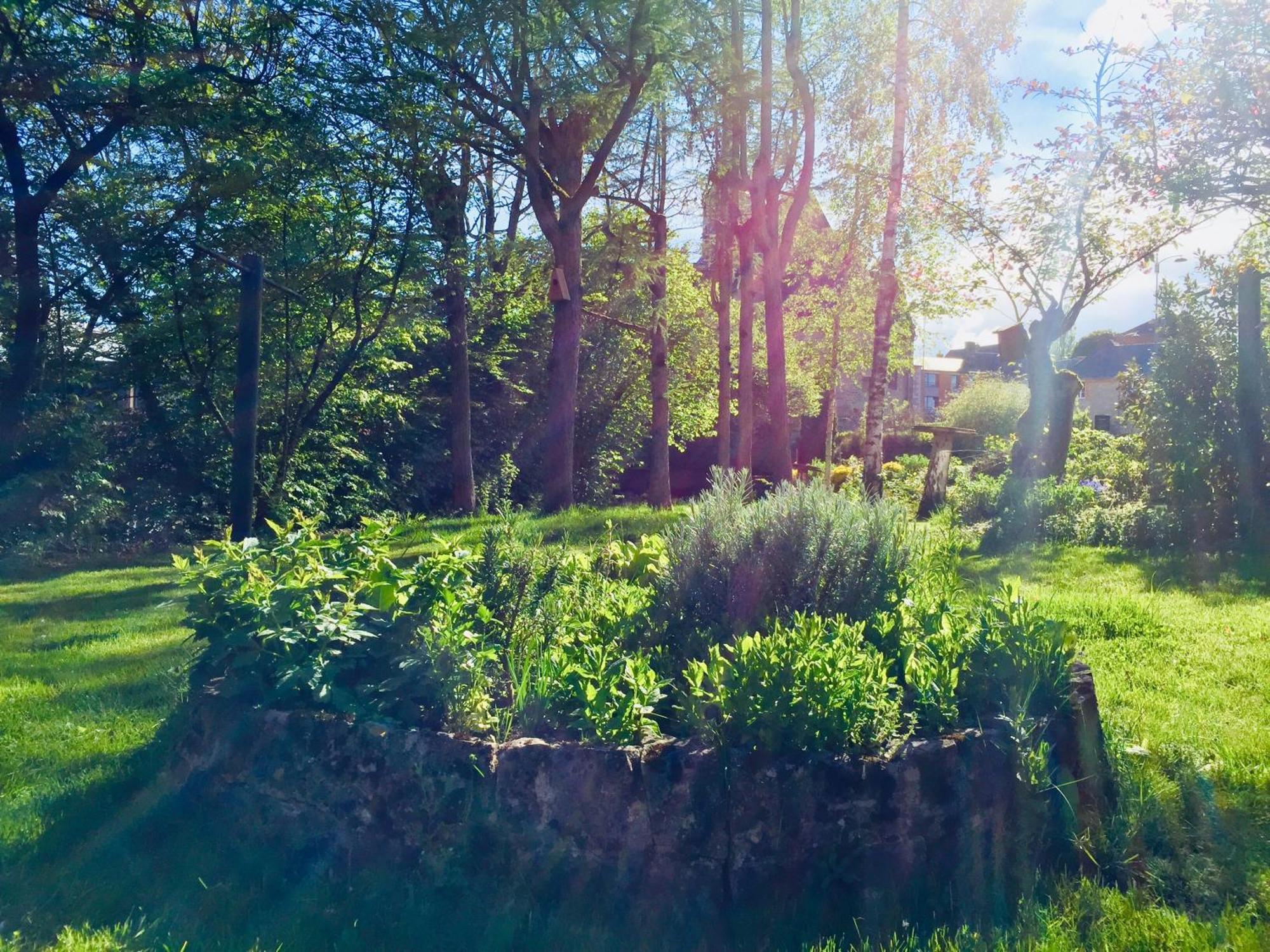 Bed and Breakfast Aubepine Sains-du-Nord Экстерьер фото