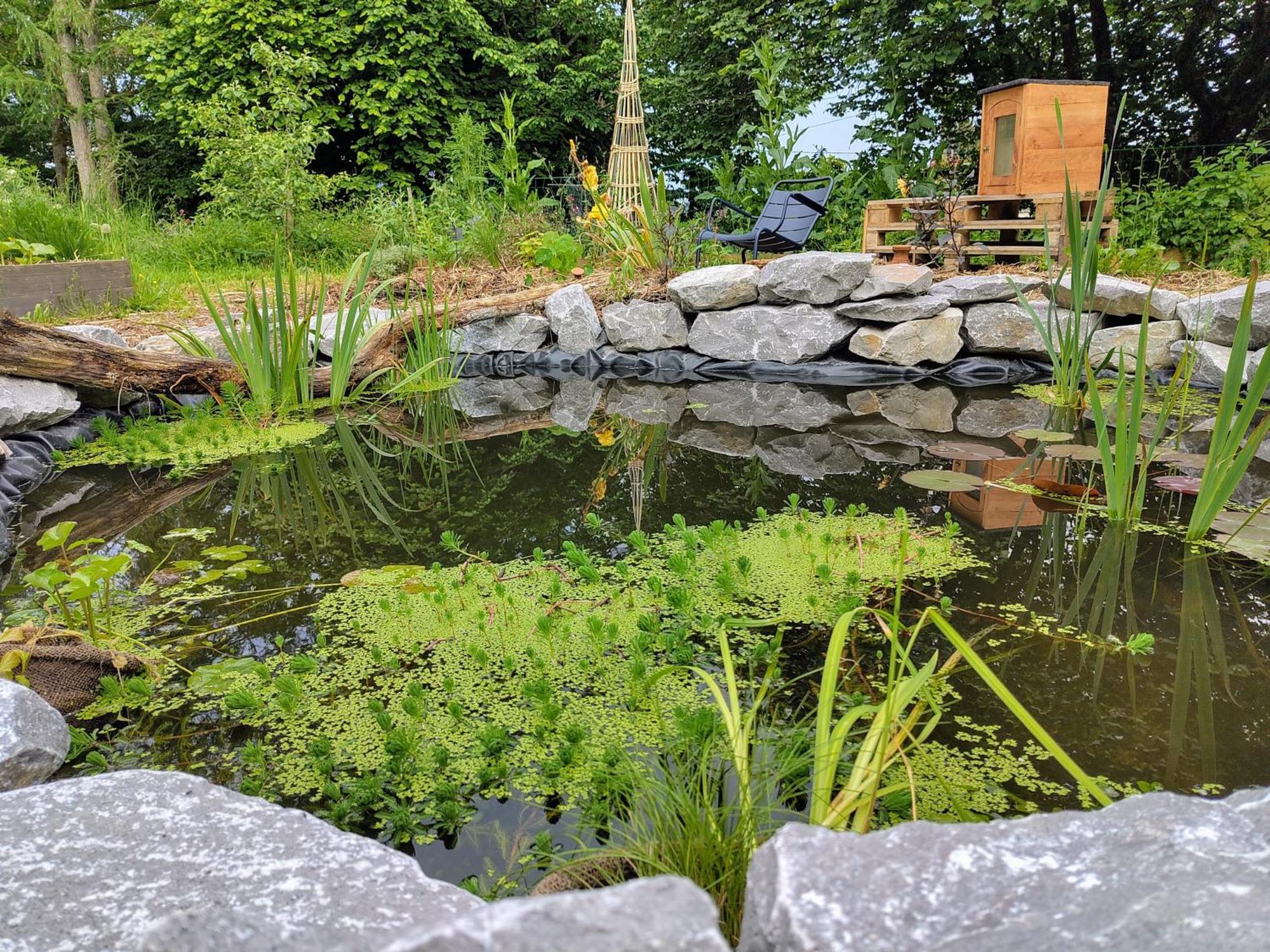 Bed and Breakfast Aubepine Sains-du-Nord Экстерьер фото